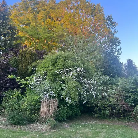 בית כפרי Casa De Rainer