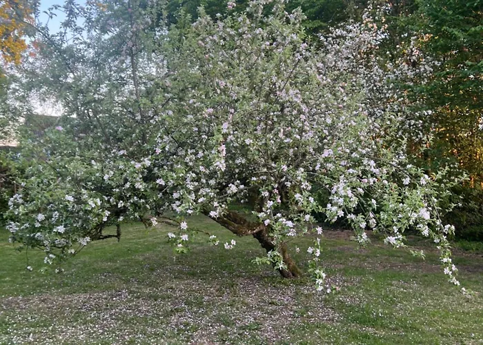 Casa De Rainer Tommerup